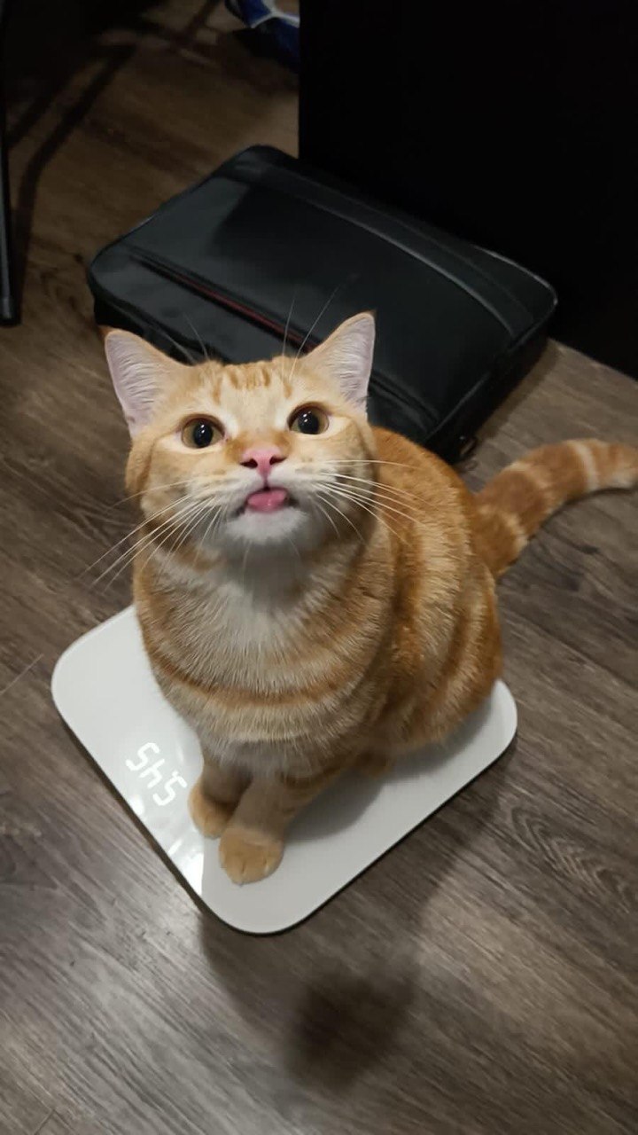 Mimi